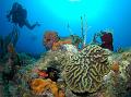 FMazeas site tupasurf_002